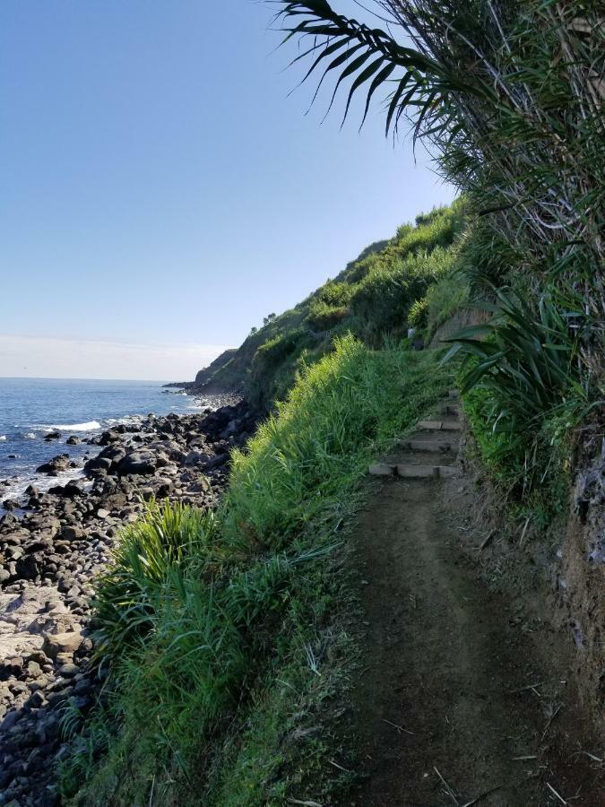 Casa Simba , Where The Fun Begins Ponta Delgada  Exterior photo